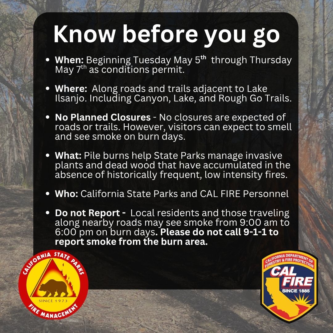 Pile Burn Infographic
